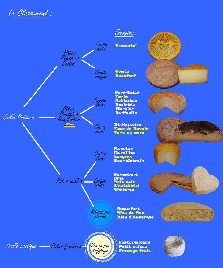 Classification des fromages